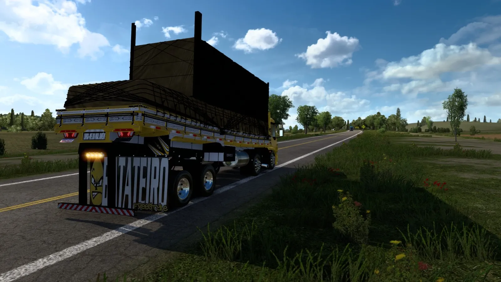 VOLVO VM 330 BITRUCK WANDERLEY SIMULADOR - Imagem 4
