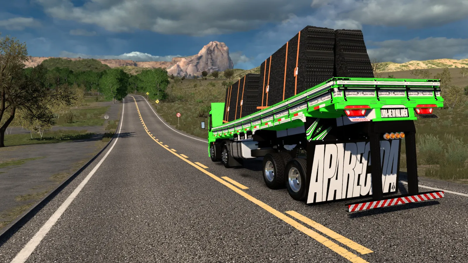 VOLVO VM 330 BITRUCK WANDERLEY SIMULADOR - Imagem 2