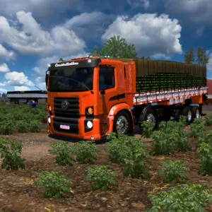 BOB 24 280 WANDERLEY SIMULADOR