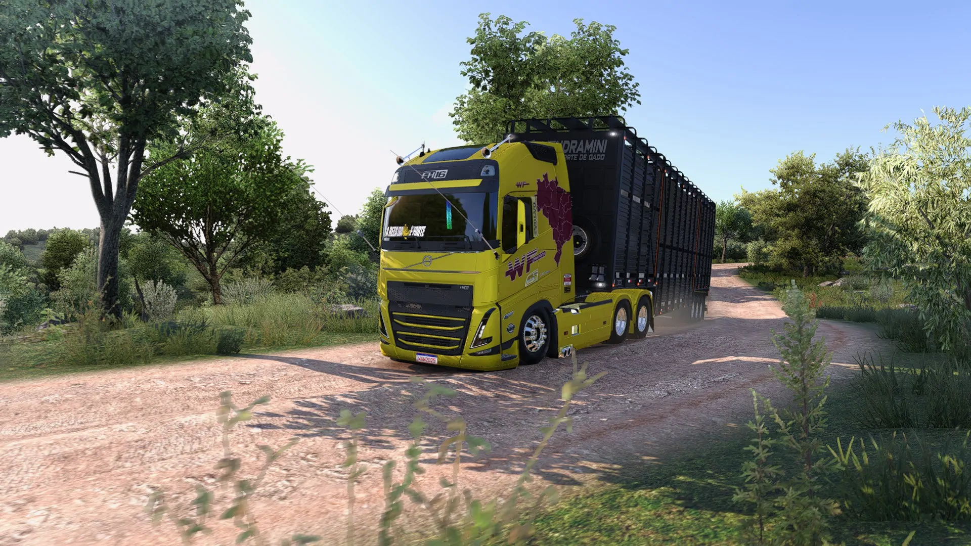 VOLVO-FH-2021-WANDERLEY - Imagem 6